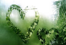 天涯房产观澜神贴分享：天涯论坛上的神龙马车